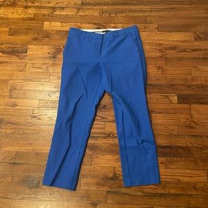 Ann Taylor Dress Pants